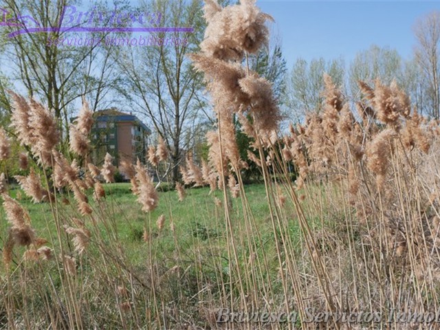 Venta Finca C/ Salamanca 1, Briviesca Inmobiliaria _3