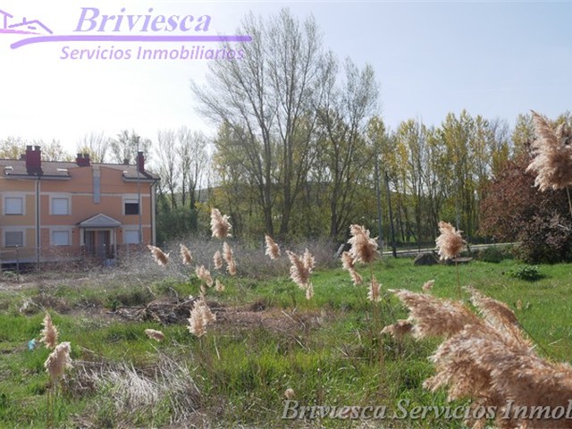 Venta Finca C/ Salamanca 1, Briviesca Inmobiliaria _4