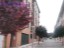 Venta Piso en C/ Los Hornos 8 en  Inmobiliaria  Briviesca _50